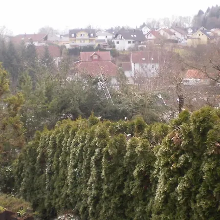 度假居 In Konz With Swimming Pool *